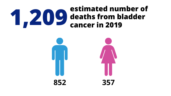 Bladder Cancer Statistics 2019