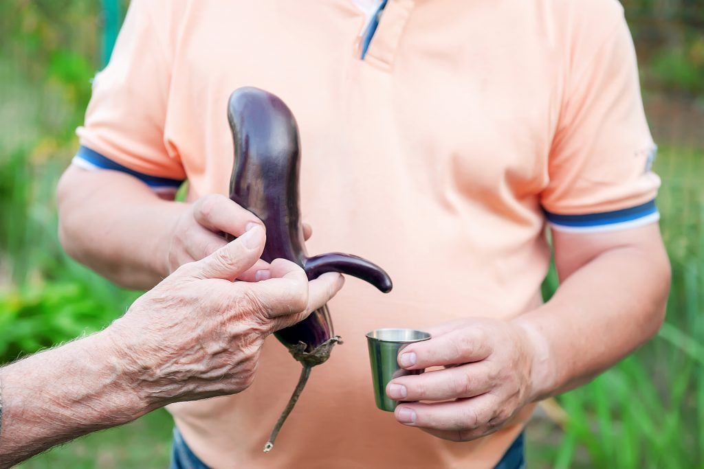 A man holding a deformed eggplant that looks like a small penis