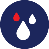 Experience Blood in their Urine - Icon