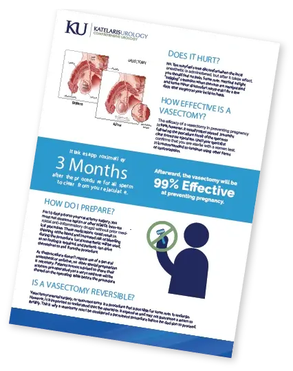 Katelaris Urology, Vasectomy factsheet